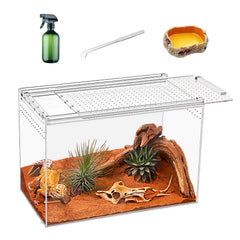 KAKOOTI Terrario Reptil 11x6x8, vista frontal para observar mascotas y alimentar.