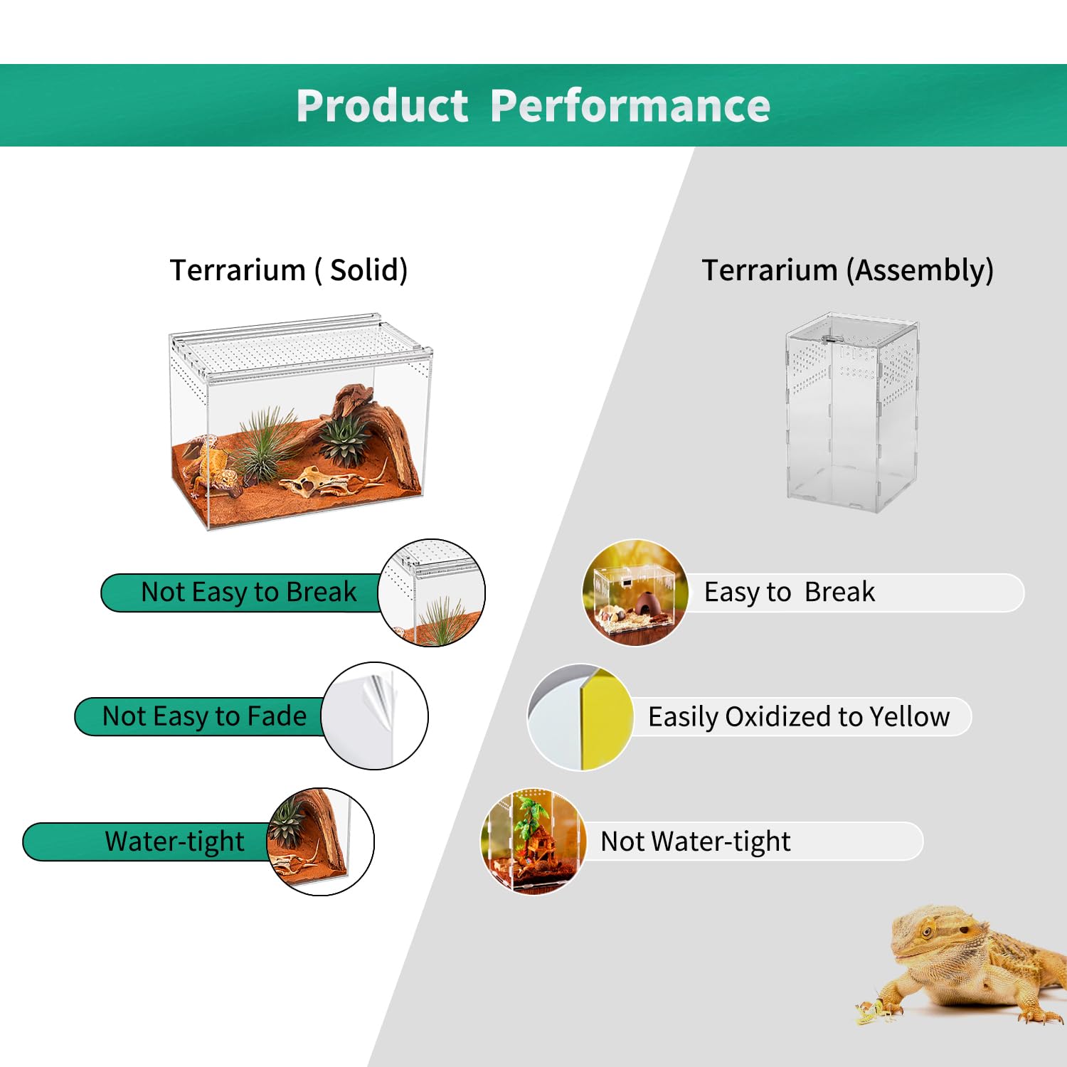 KAKOOTI Terrario Reptil diseño compacto, ideal para espacios reducidos.