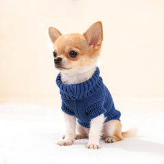 Kallfir's cutie suéter yorkie-teacup, dorso; dos colores sólidos para estilo diario