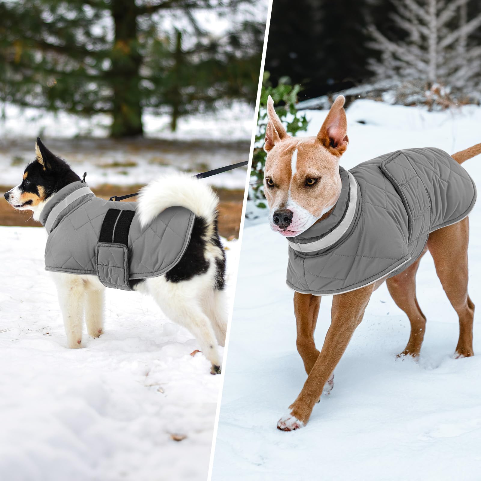 KAMA BRIDAL abrigo invierno para perro - diseño pullover, ponible sin complicaciones