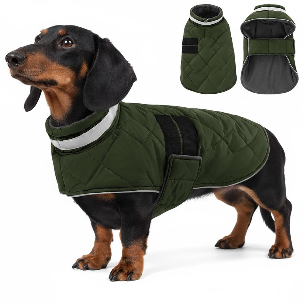 KAMA BRIDAL chaqueta para perro invierno verde, talla M, ideal para paseos.