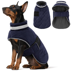 KAMA BRIDAL abrigo para perro azul, ideal para paseos invernales.