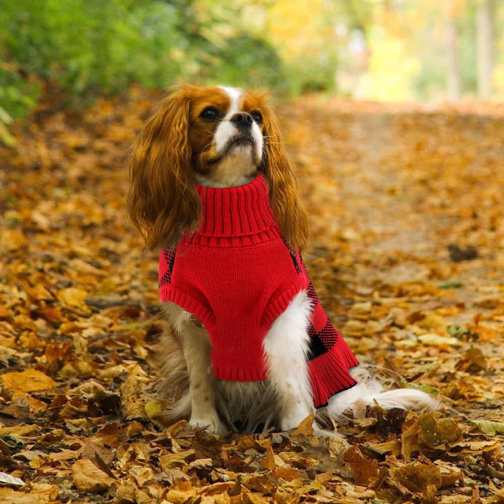 Empaque del suéter para perro KAMA BRIDAL, listo para regalo