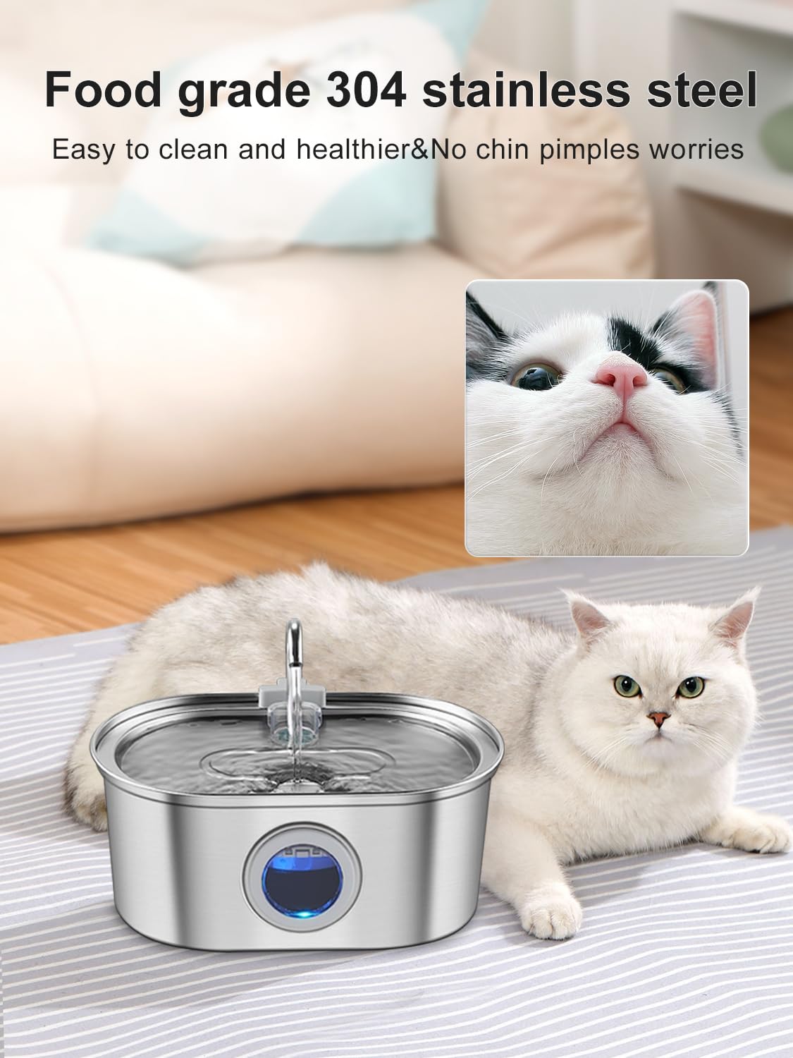 KANCHOU fuente para gatos con capacidad de 3,2 litros para largas jornadas.