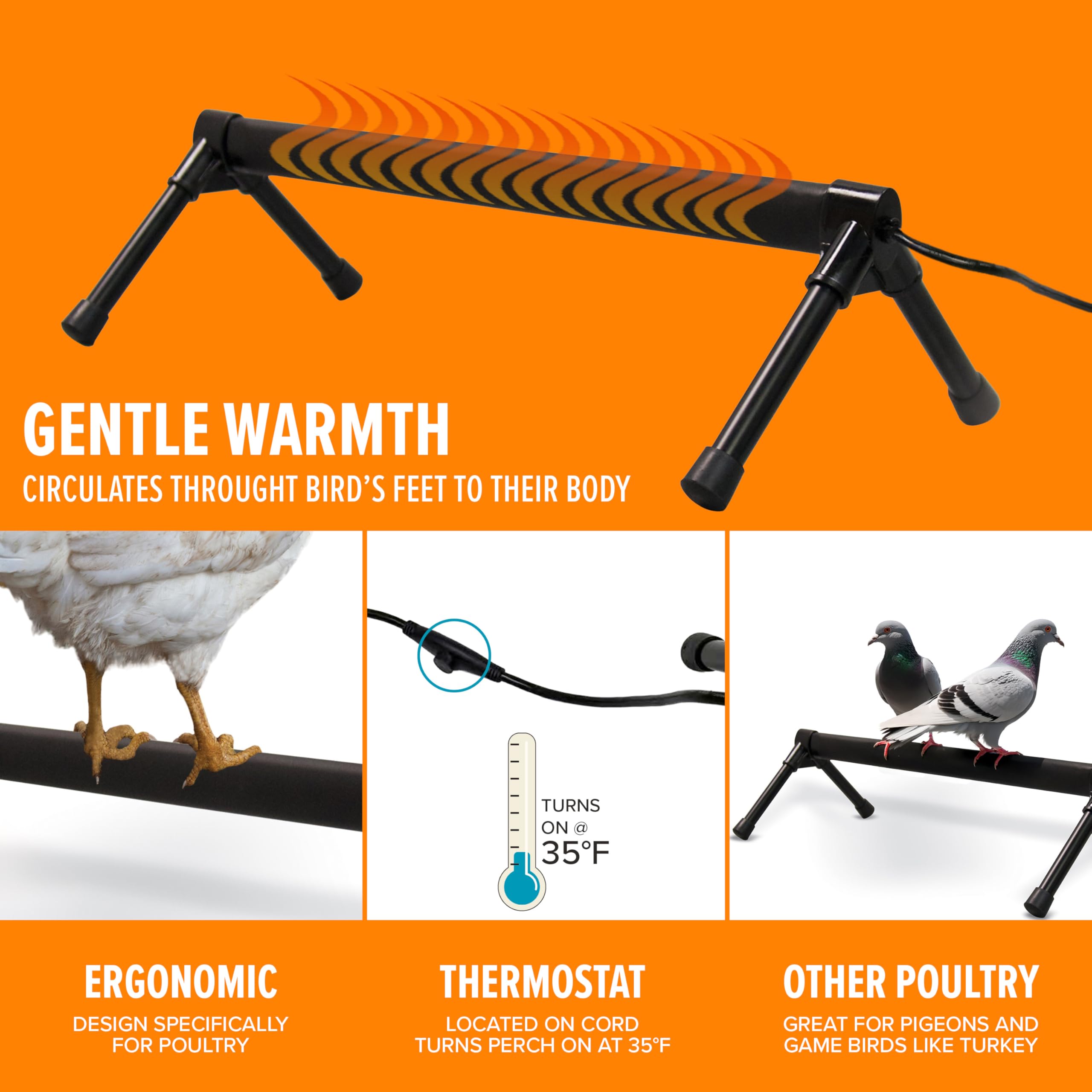 K&H Percha térmica para aves, diseño ergonómico para pollos.