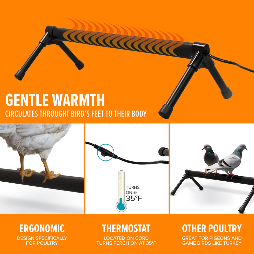 K&H Percha térmica para aves, diseño ergonómico para pollos.