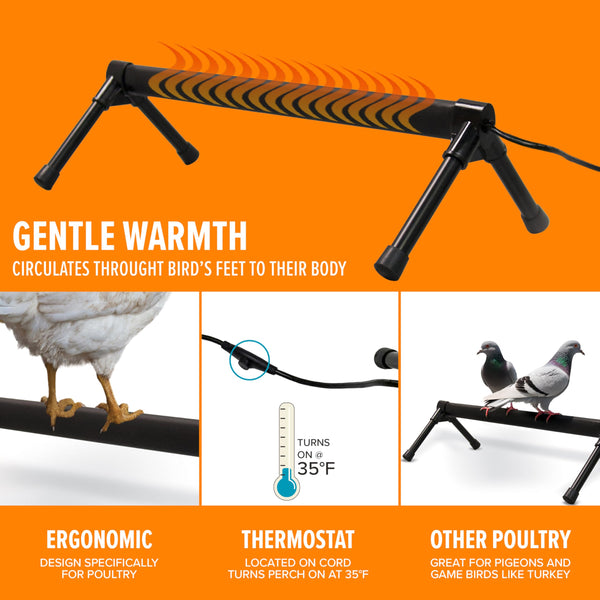K&H Percha térmica para aves, diseño ergonómico para pollos.