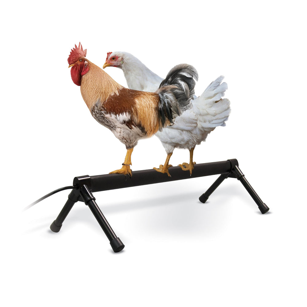 K&H Percha termica para pollo de 36 pulgadas, calor suave para las aves.