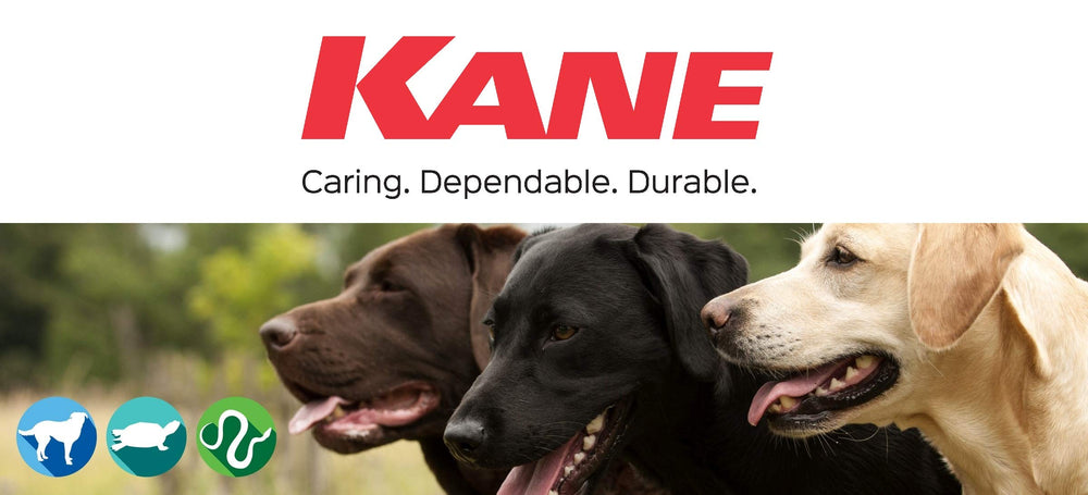 KANE vista general de la manta calefactora para mascotas, diseño práctico para el hogar.