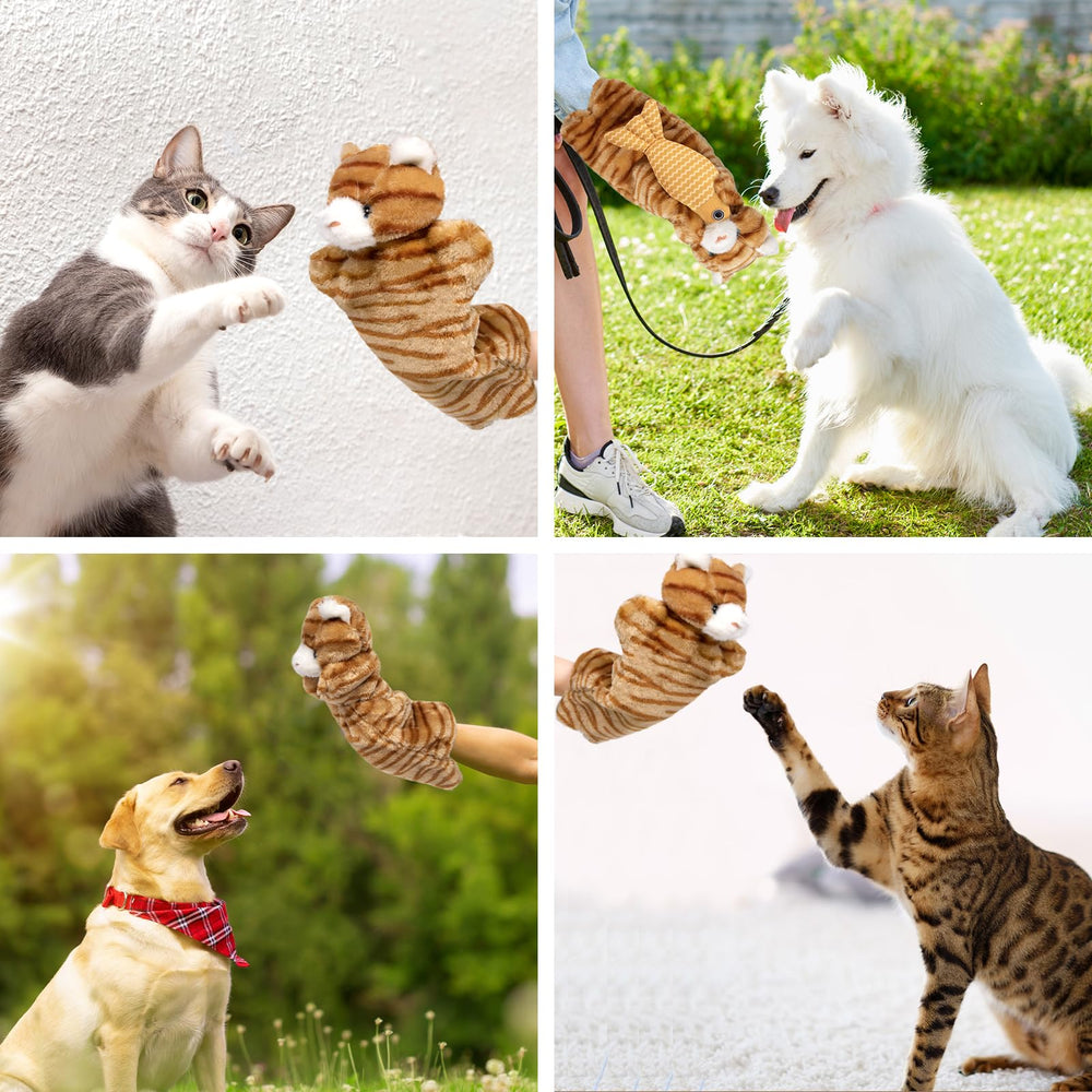 Kapawze juego-interactivo-gato, mejora coordinación y diversión compartida
