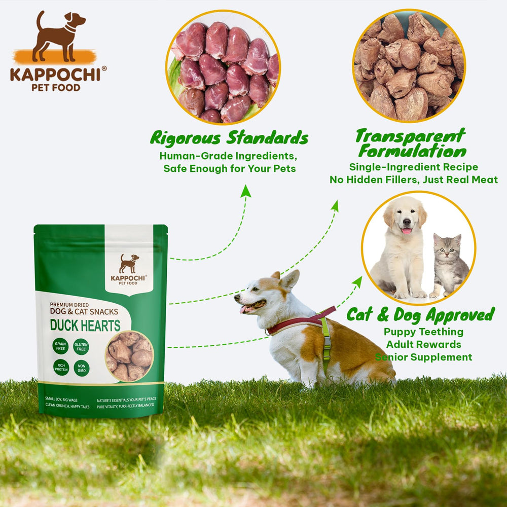 KAPPOCHI detalle de superficie liofilizada, conserva nutrientes y aroma.