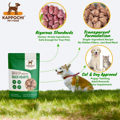 KAPPOCHI detalle de superficie liofilizada, conserva nutrientes y aroma.