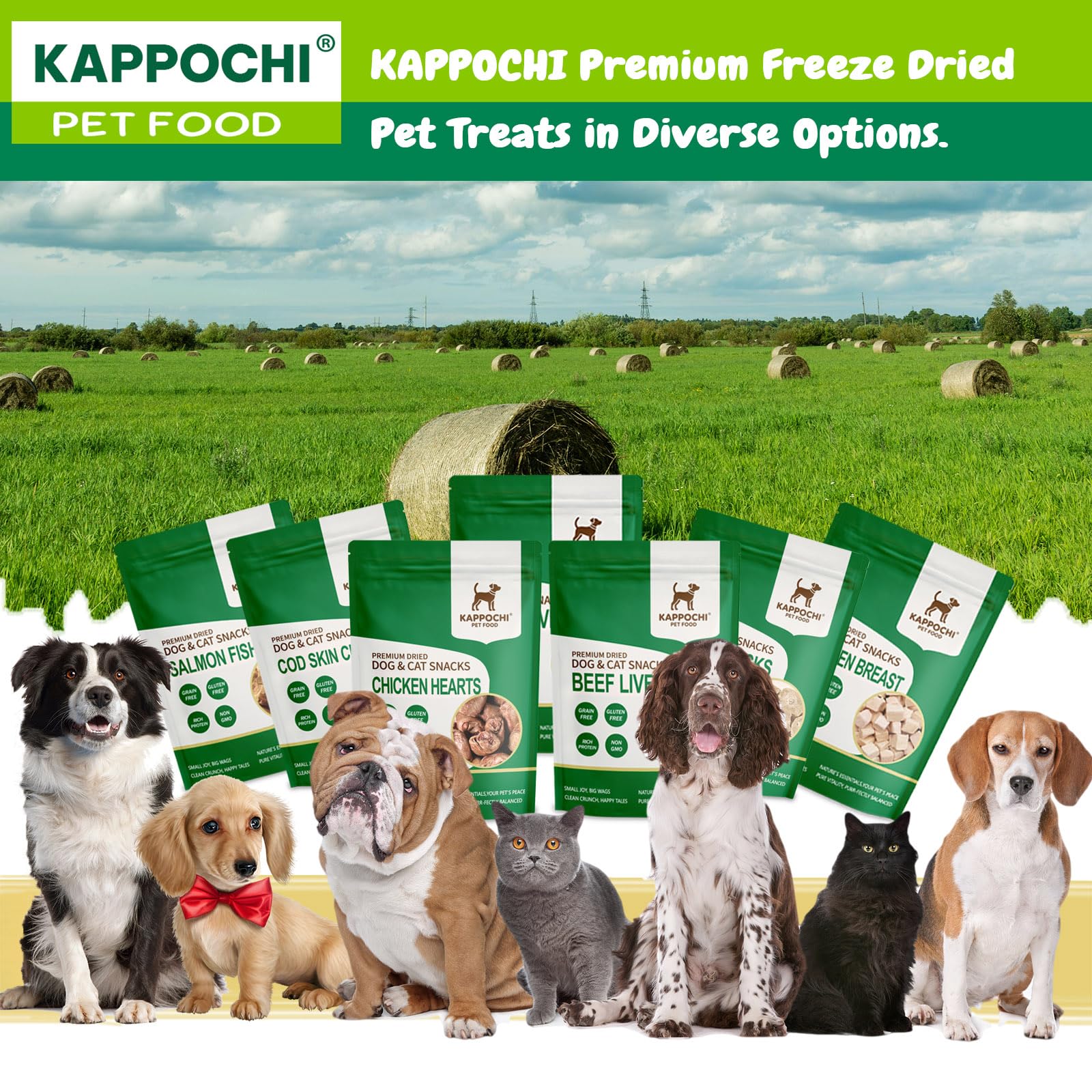 KAPPOCHI uso en exterior, ideal para paseos.