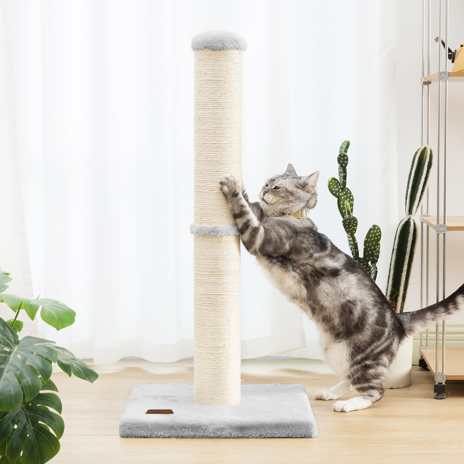 Karolpar uso interior, perfecto para hogares con gatos en gris.