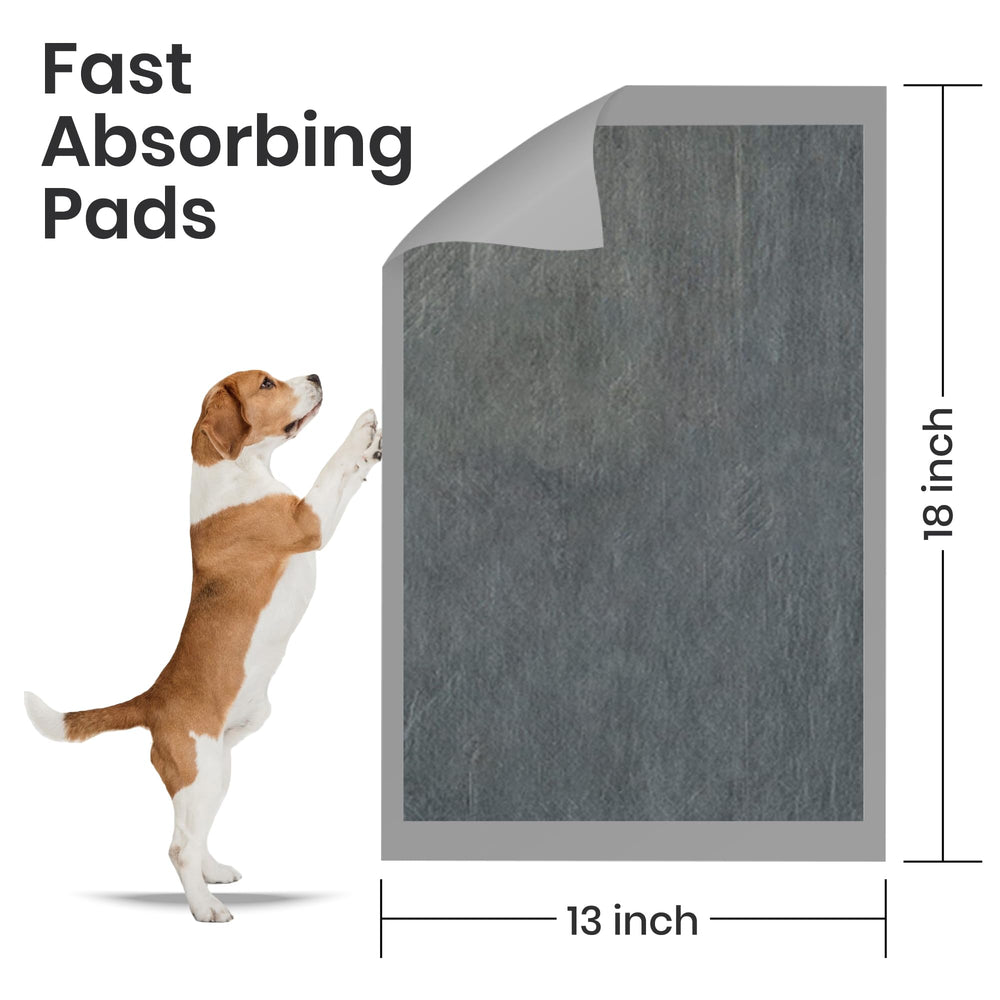 Kashmir FPN pads de carbón activado, tamaño 18x13 pulgadas.