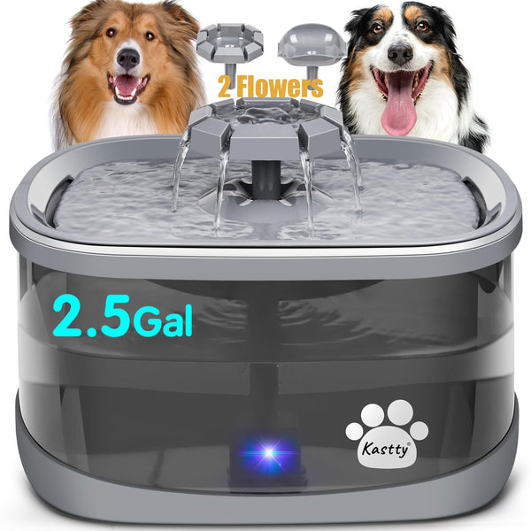 Kastty bebedero-perros-capacidad-2-5gal, mantiene hidratación constante en casa.