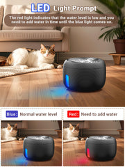 Kastty iluminación LED integrada que guía a tu gato de noche