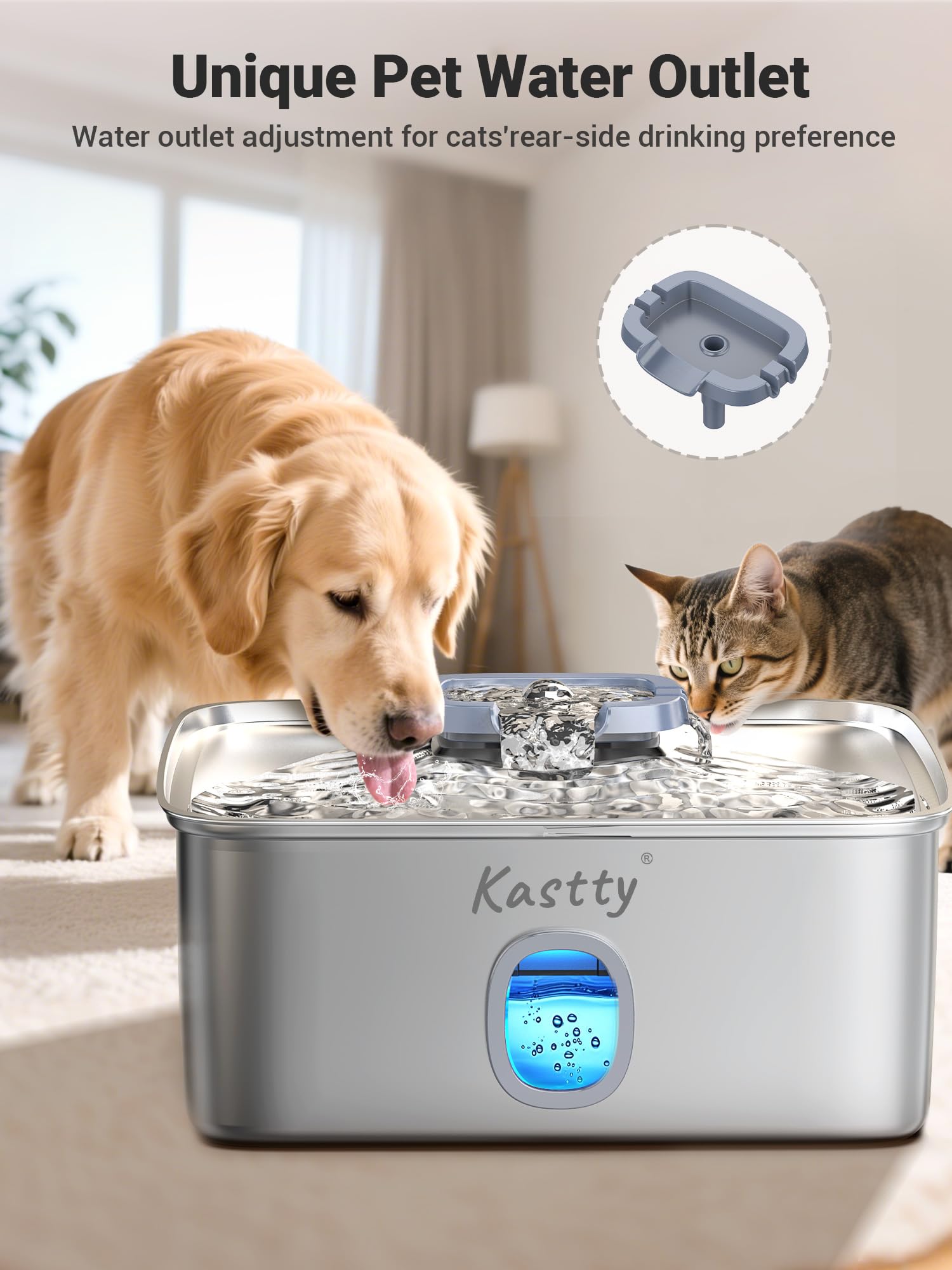 Kastty mantenimiento sencillo: cambiar filtro y limpieza periódica.