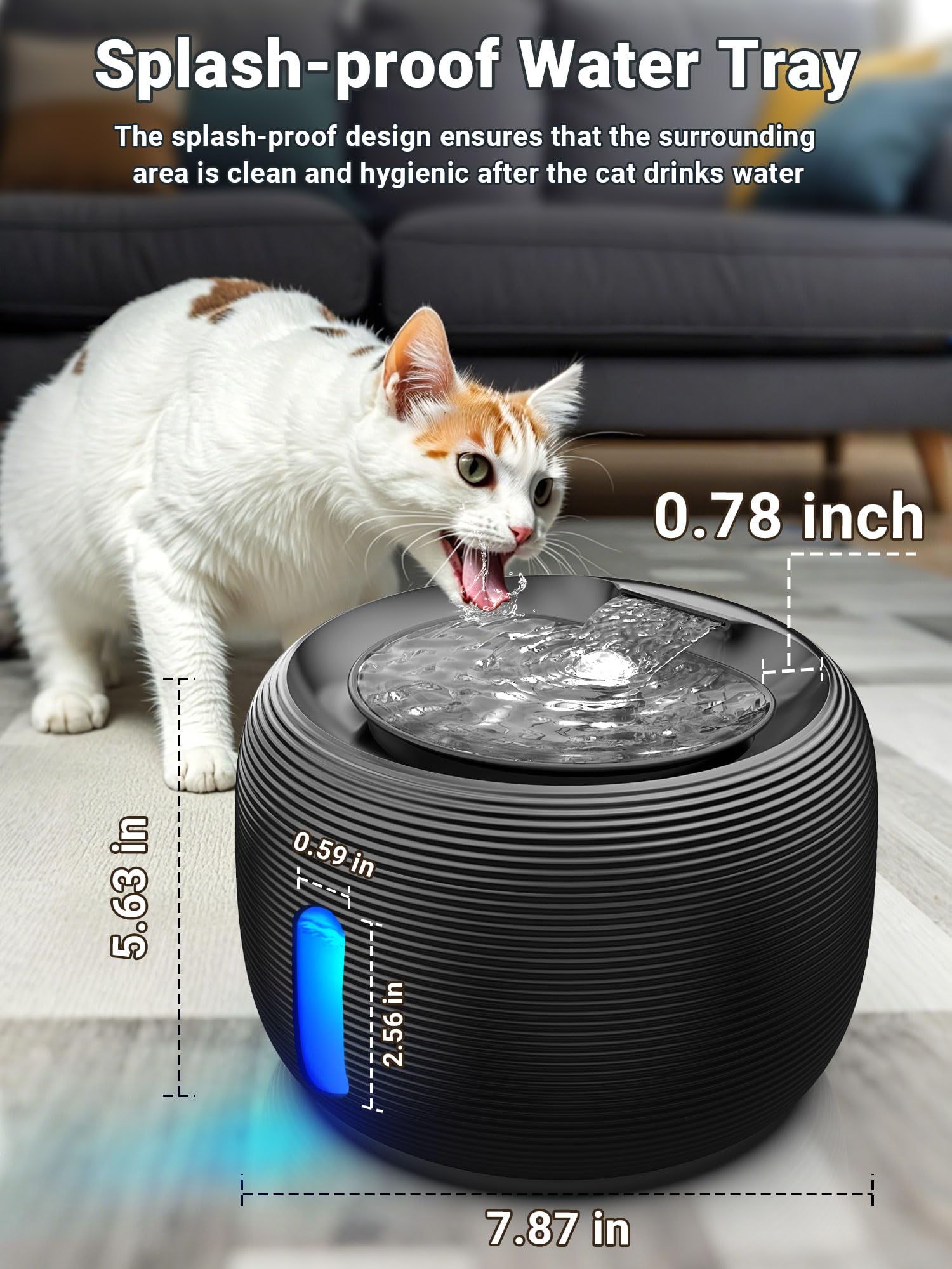 Kastty versión sin BPA para agua segura