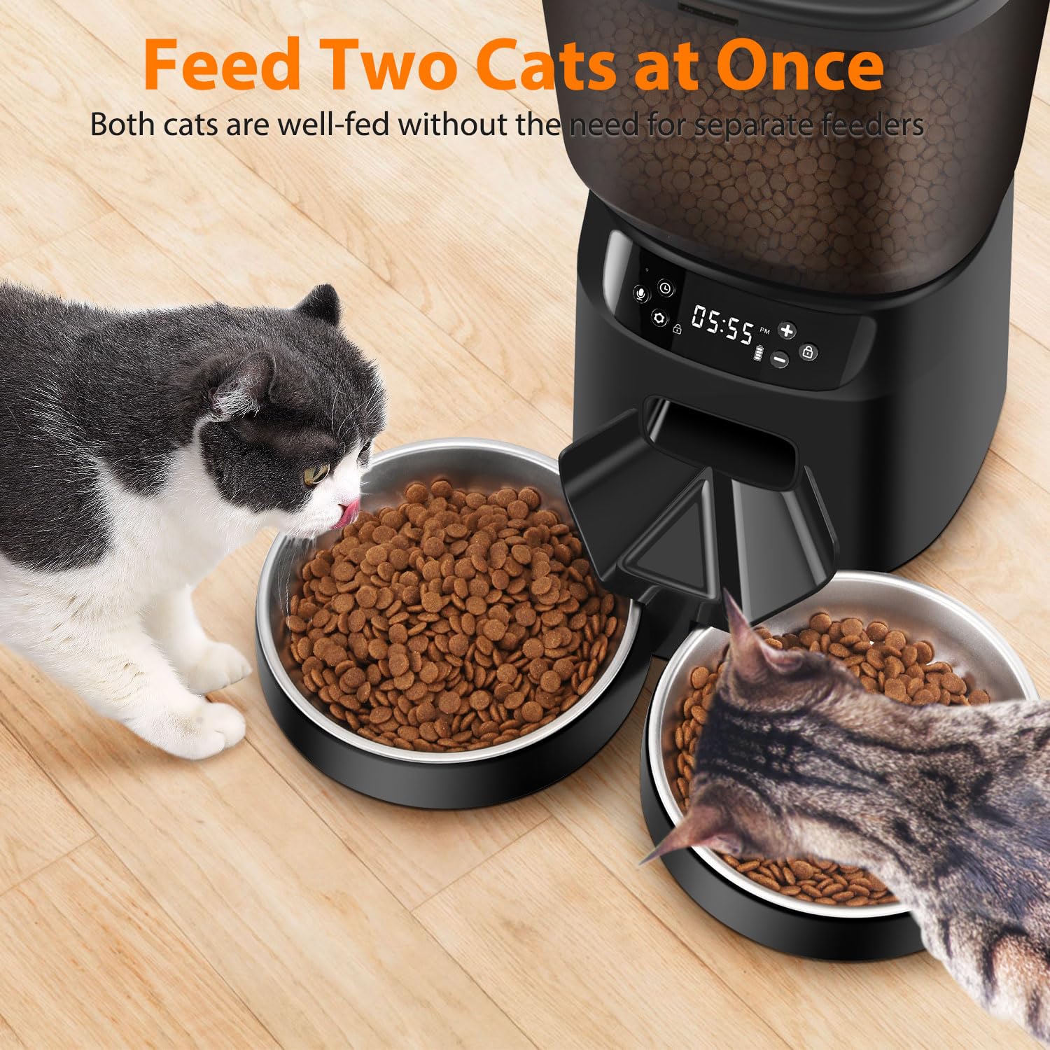 Katalic dos gatos con tazones de acero inoxidable duraderos.