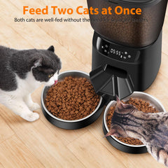 Katalic dos gatos con tazones de acero inoxidable duraderos.