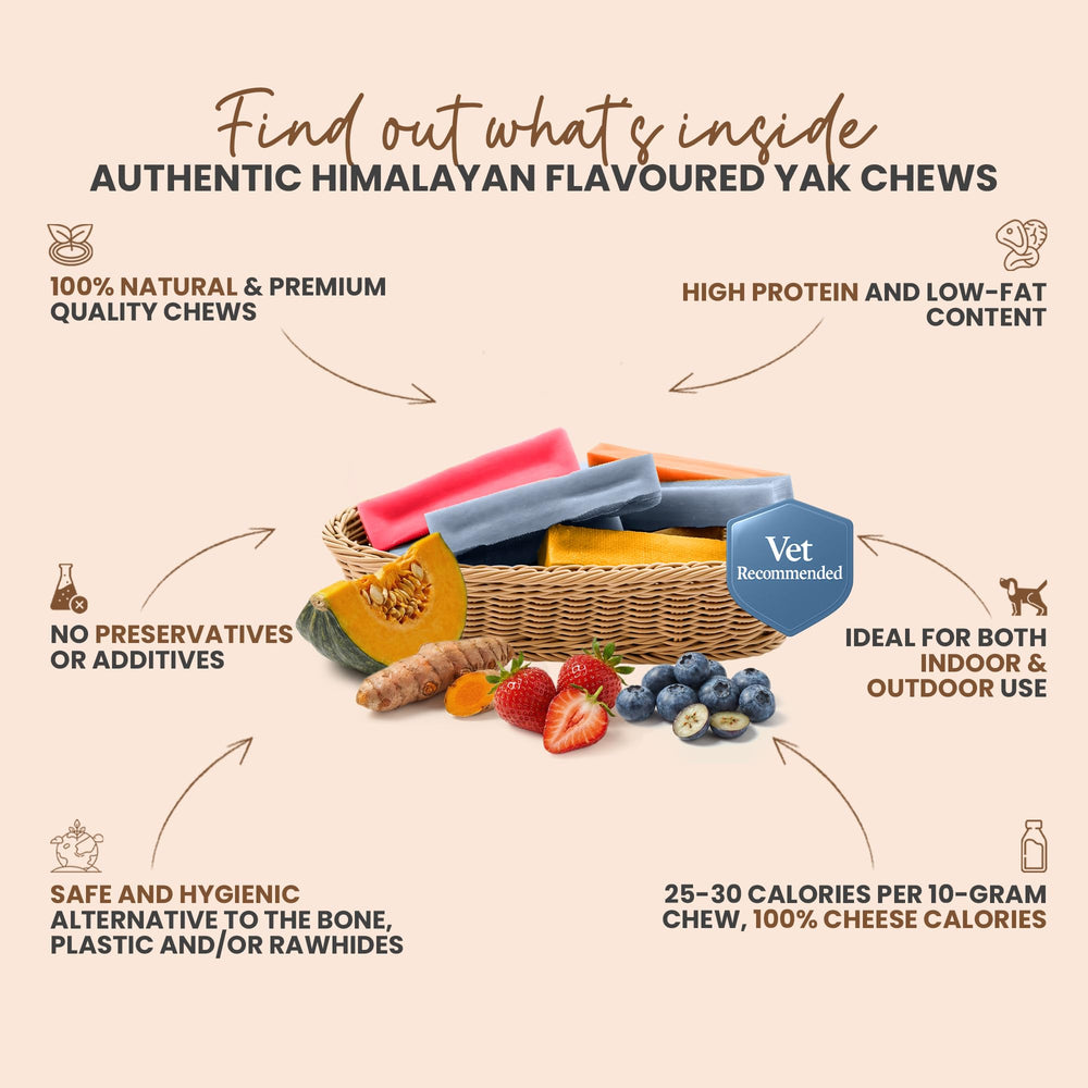 KATHMANDU'S masticables yak con ingredientes naturales para una opción segura