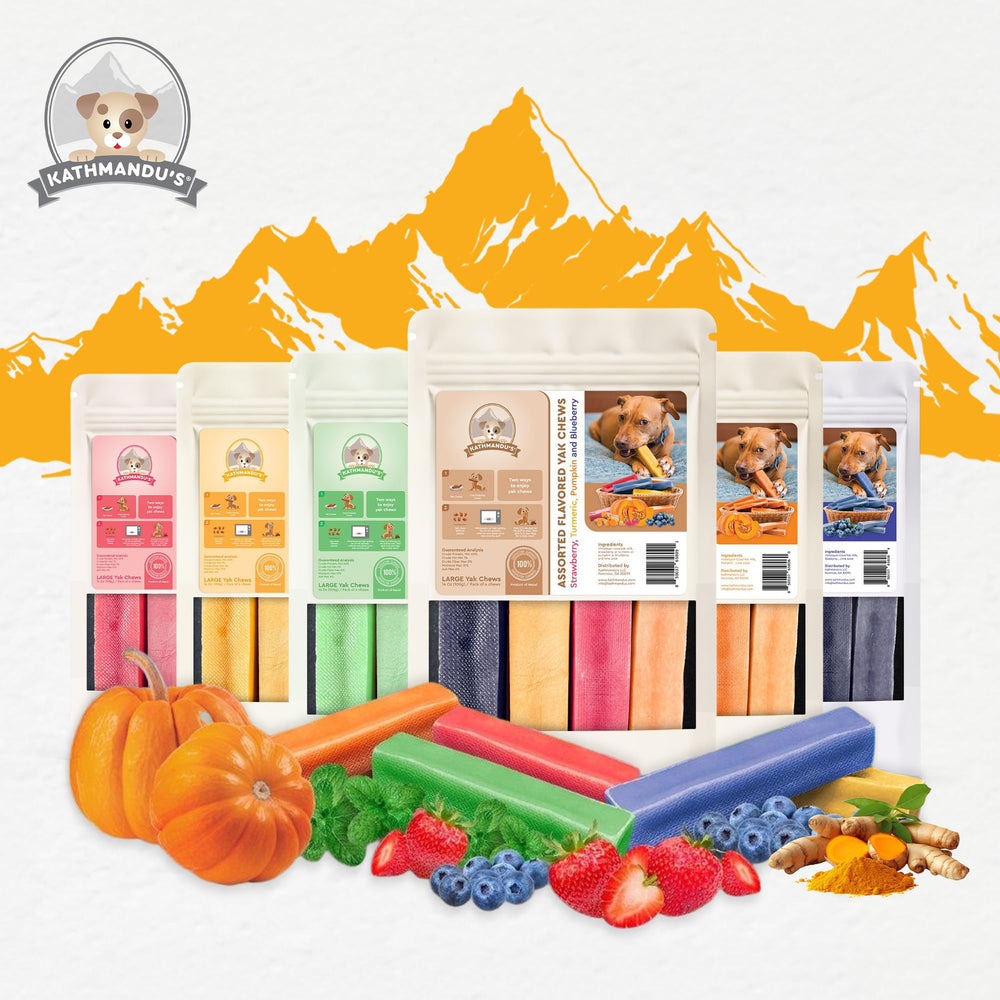 KATHMANDU'S paquete de 4 masticables grandes