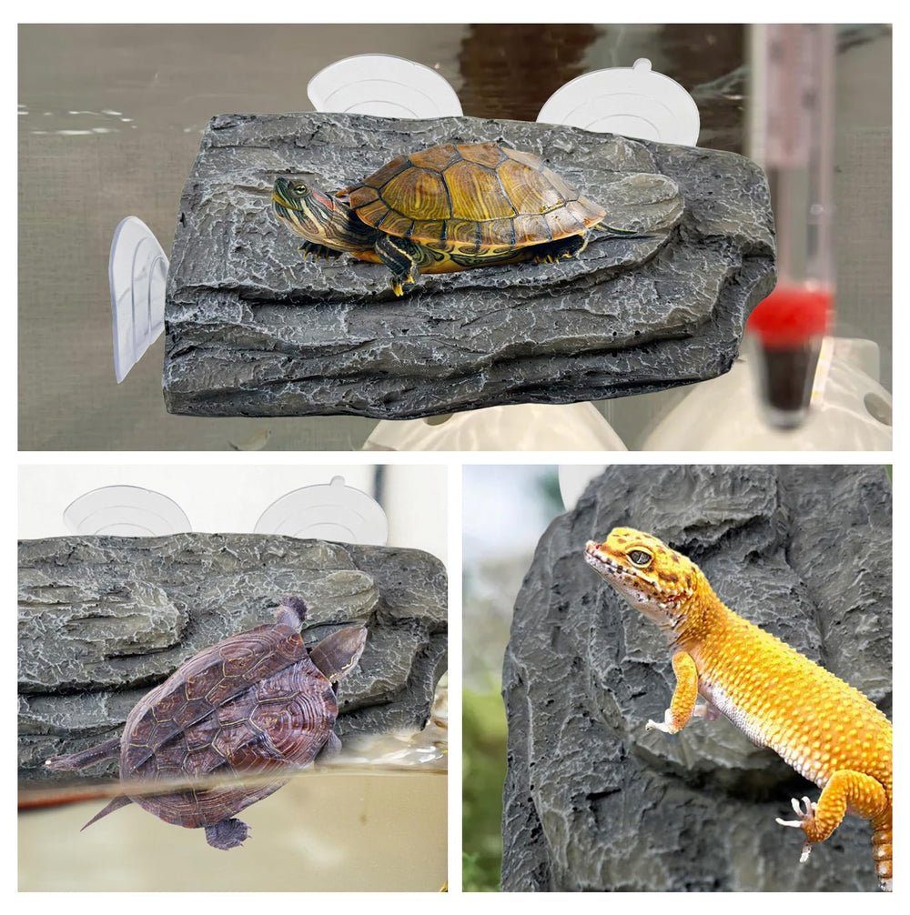 Accesorio kathson para tortuga en acuario, soporte estable para descanso.