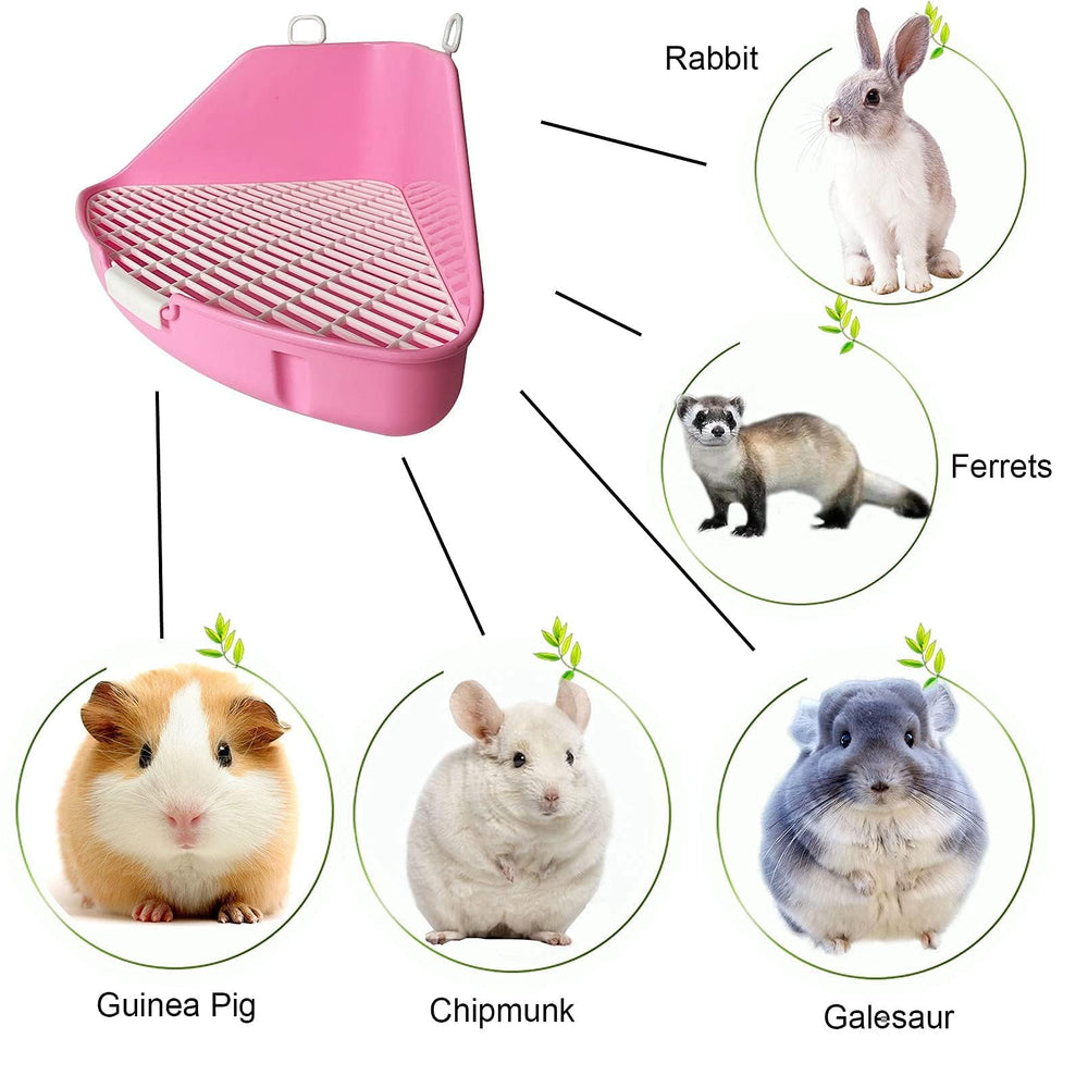 Kathson accesorios incluidos: mini escoba y juguetes para roer.