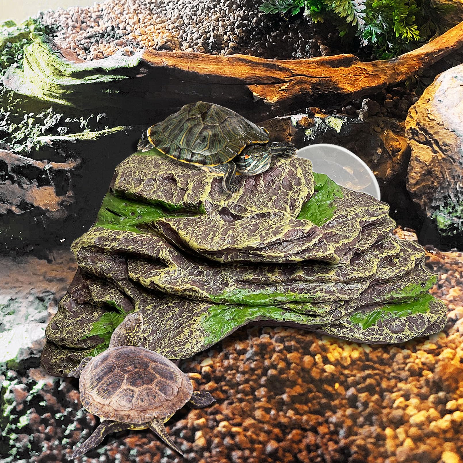 Kathson plataforma flotante apta para hábitats de anfibios y reptiles