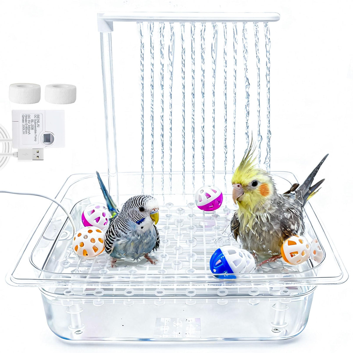 Kathson bano-aves-con-bomba: baño seguro y silencioso para aves.