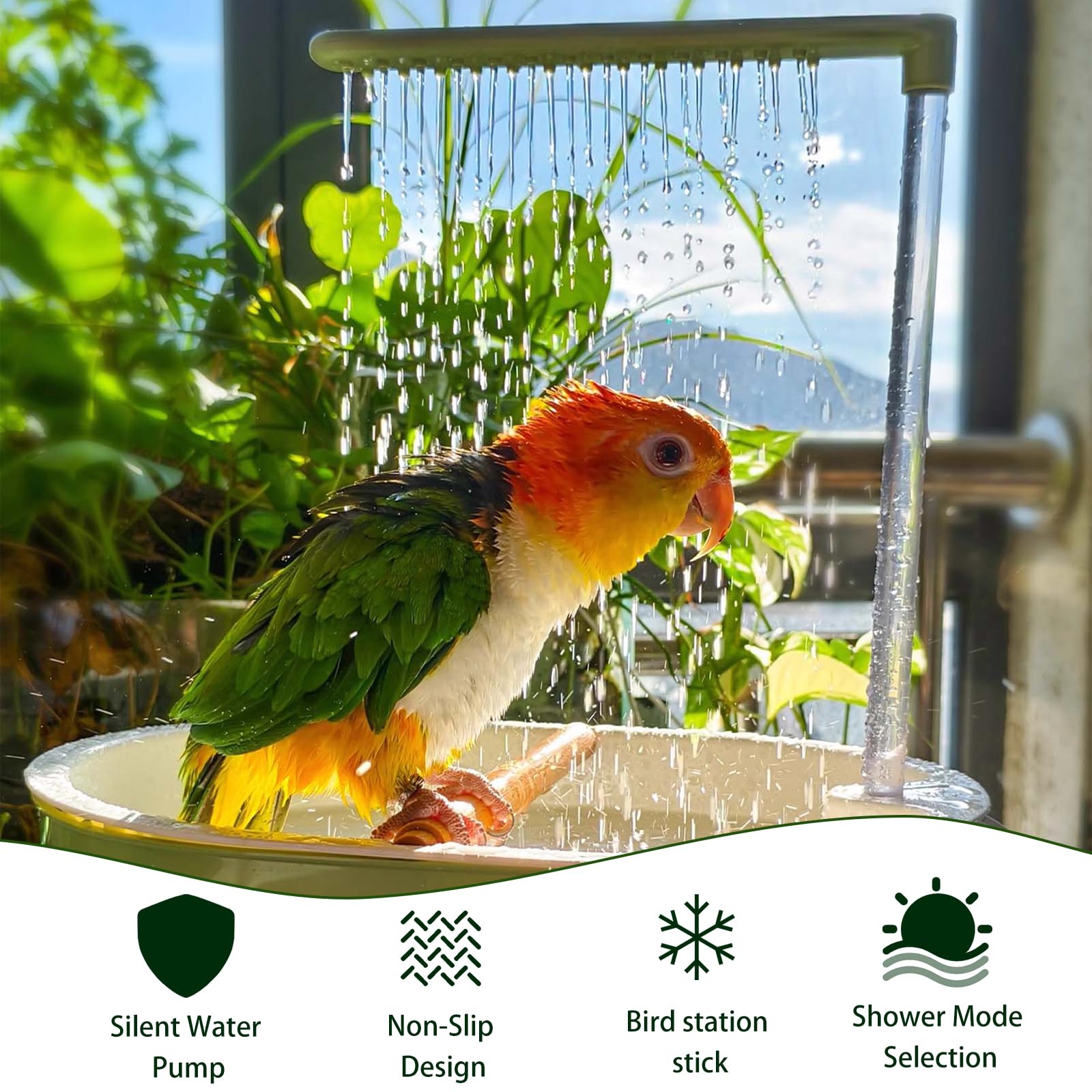 Kathson Bano para Aves en Jaula Interior, ideal para sesiones de baño en casa.