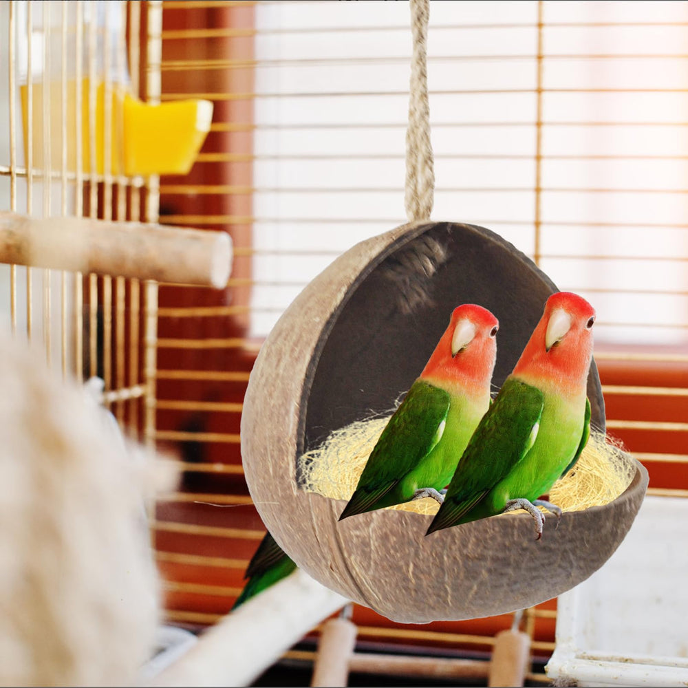 Cucharita y accesorios de coco Kathson, complemento práctico para jaula.