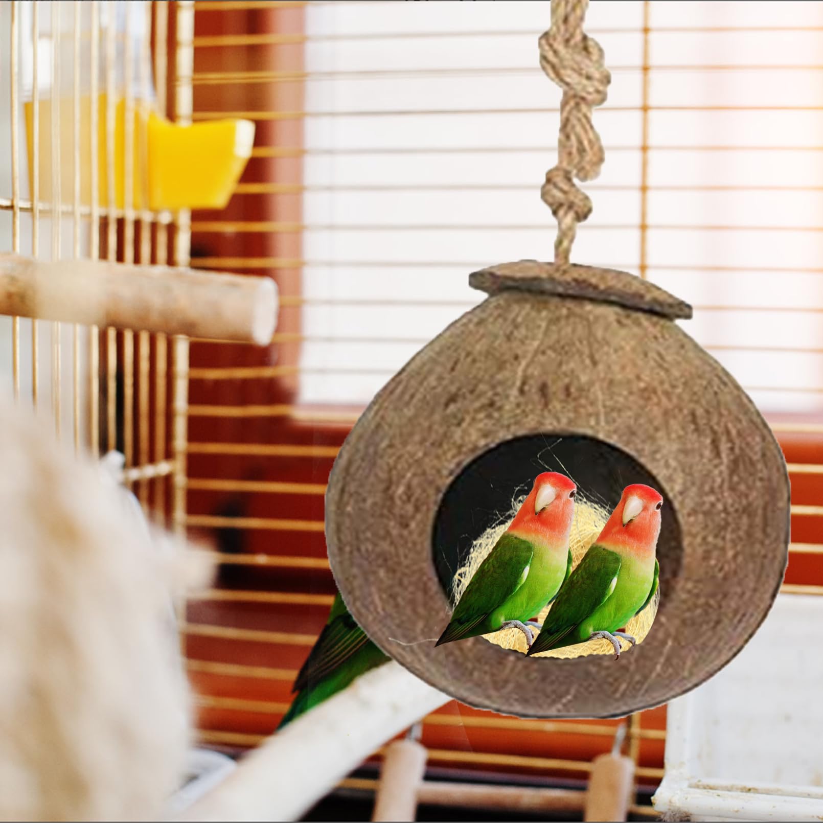 Kathson decoracion-jaula-coco: mejora estética y ambiente natural