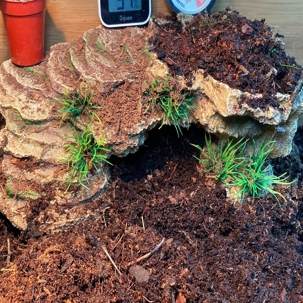  Kathson decoración de tanque para reptiles, estilo natural que mejora el hábitat.