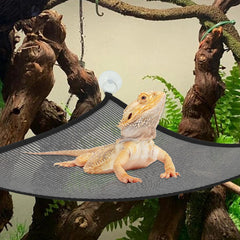 Kathson escalera de bambú para reptiles, facilita escalada y juego.