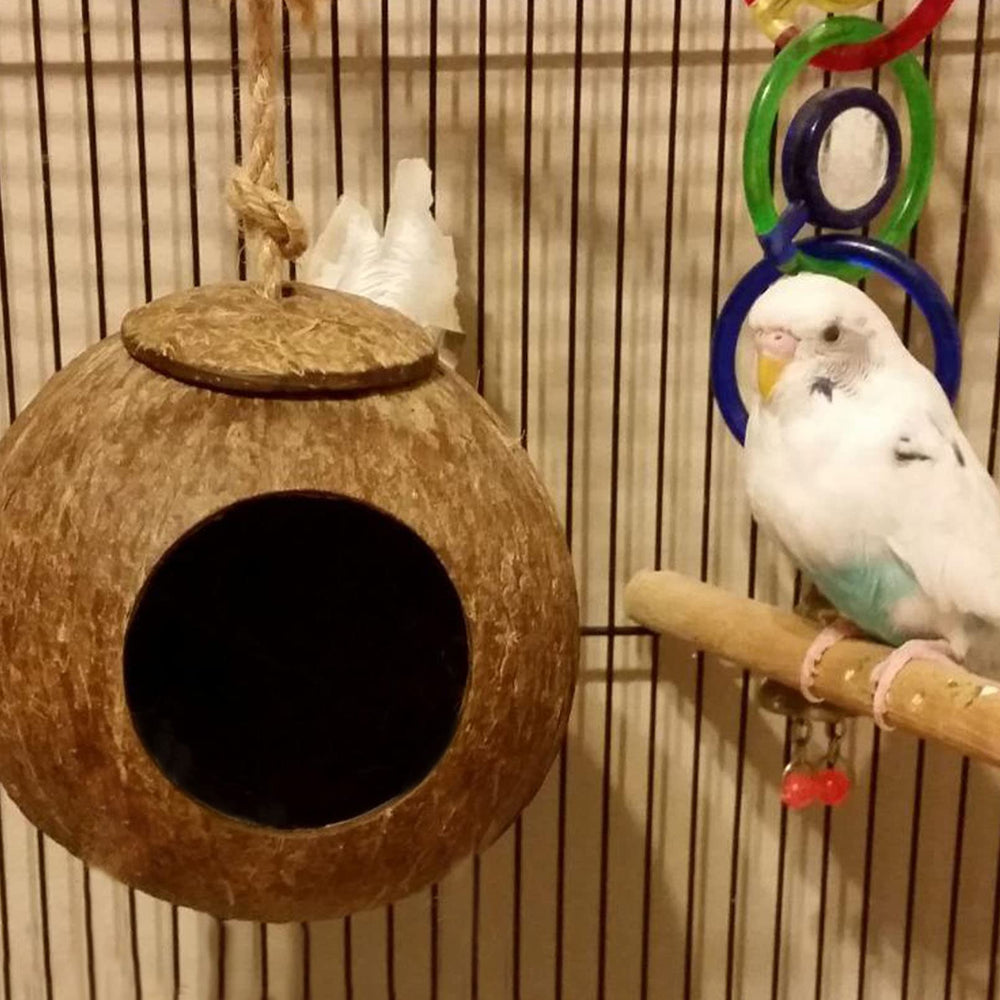 Kathson juguetes bolas coco: estimulan juego y exploración en aves pequeñas