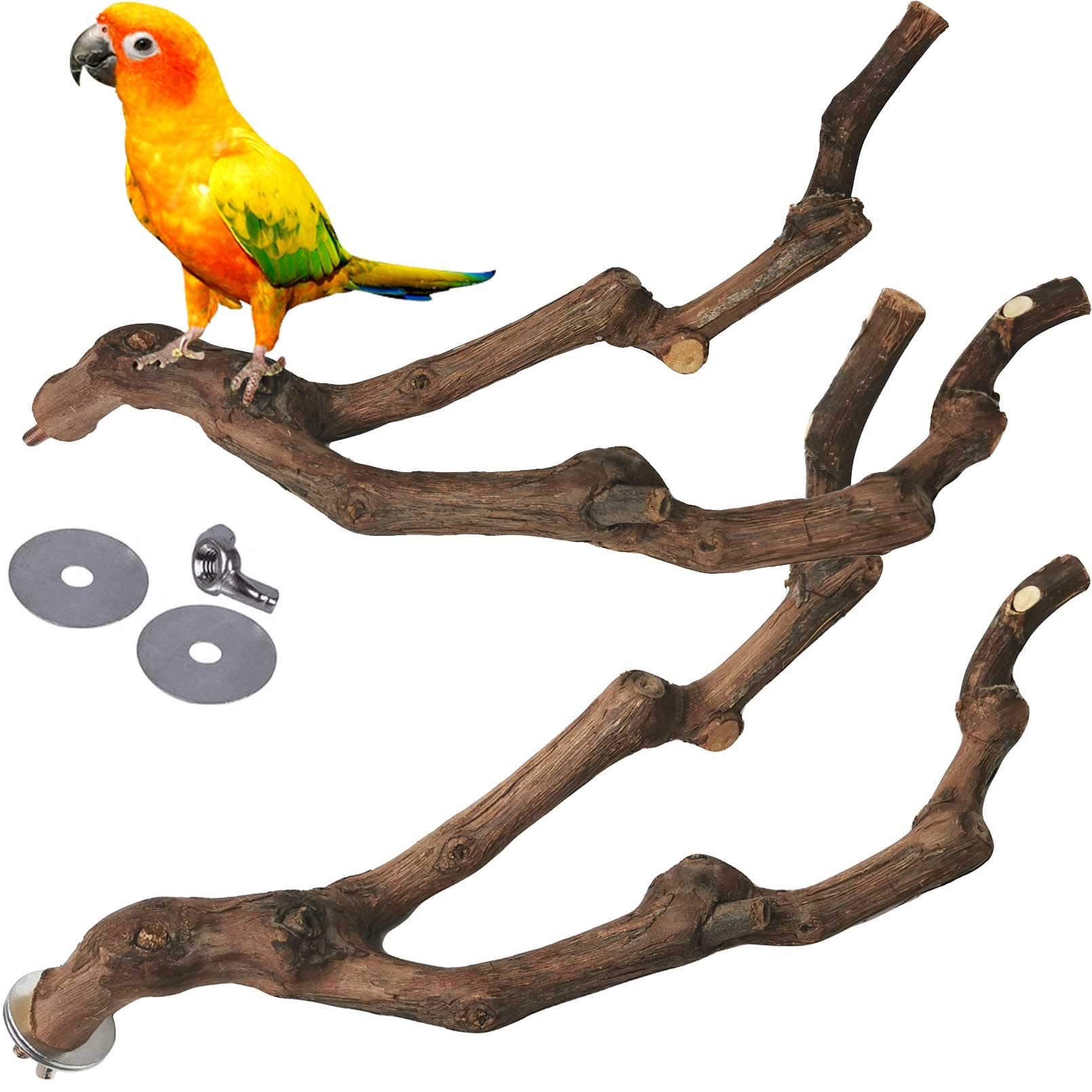 Kathson percha natural de vid para aves promueve agarre y equilibrio natural