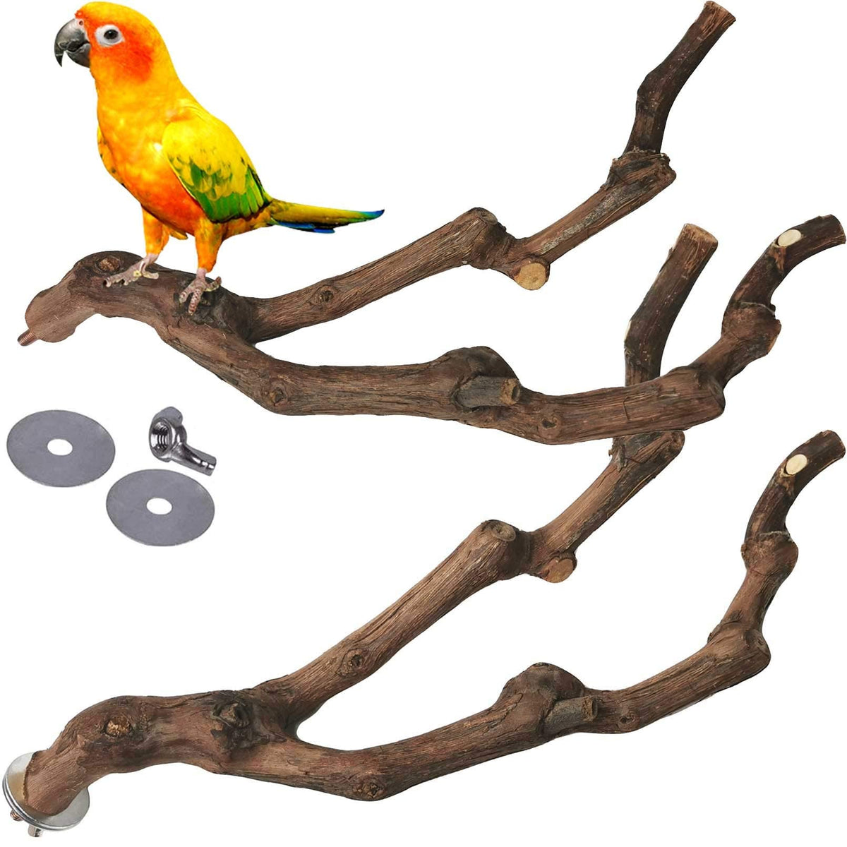 Kathson percha natural de vid para aves promueve agarre y equilibrio natural