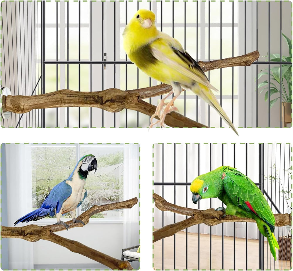 Kathson percha masticable: sin pintura segura para aves.