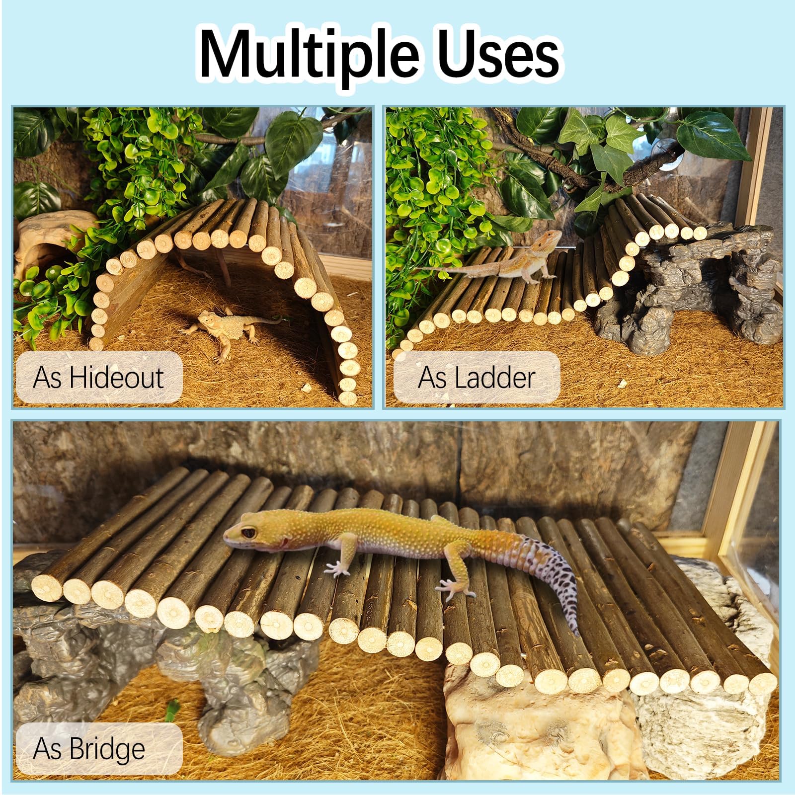 Kathson planta colgante decorativa aporta color natural al terrario