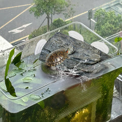 Plataforma de subida kathson para tortuga terrario, facilita la escalada.