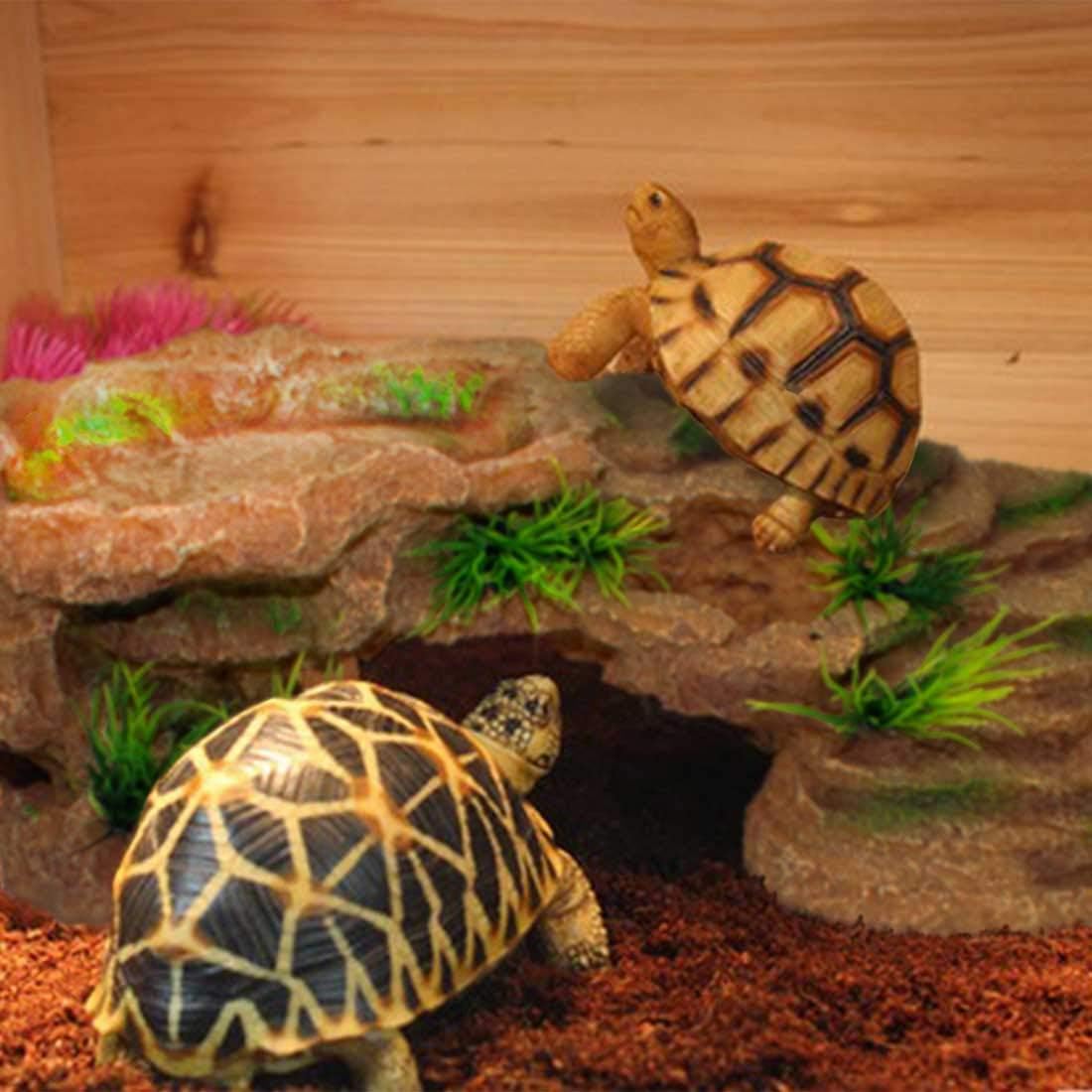  Kathson plataforma toma sol para dragón barbudo, exposición segura al calor en terrario.