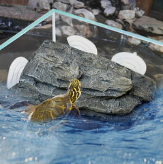 Plataforma kathson para tortuga tomar sol en acuario, seguro y cómodo.