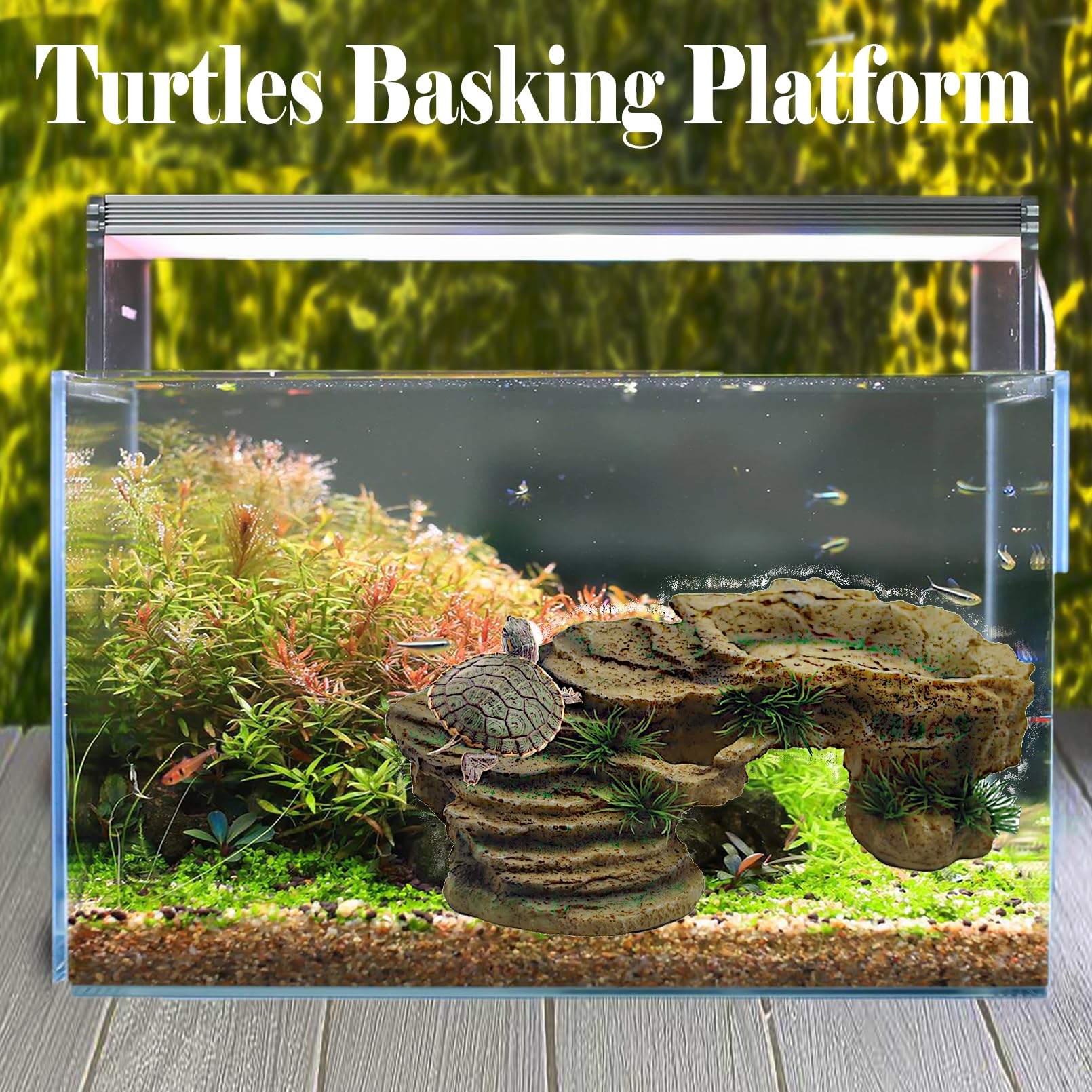  Kathson roca-tanque reptiles descanso tortugas, diseño compacto y funcional.