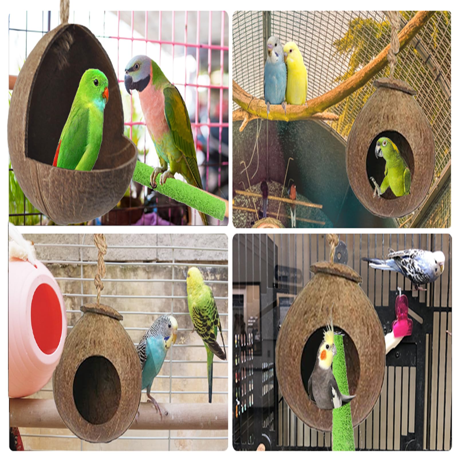 Kathson tamano-nido coco pajaros: adecuado para periquitos, canarios y aves pequeñas