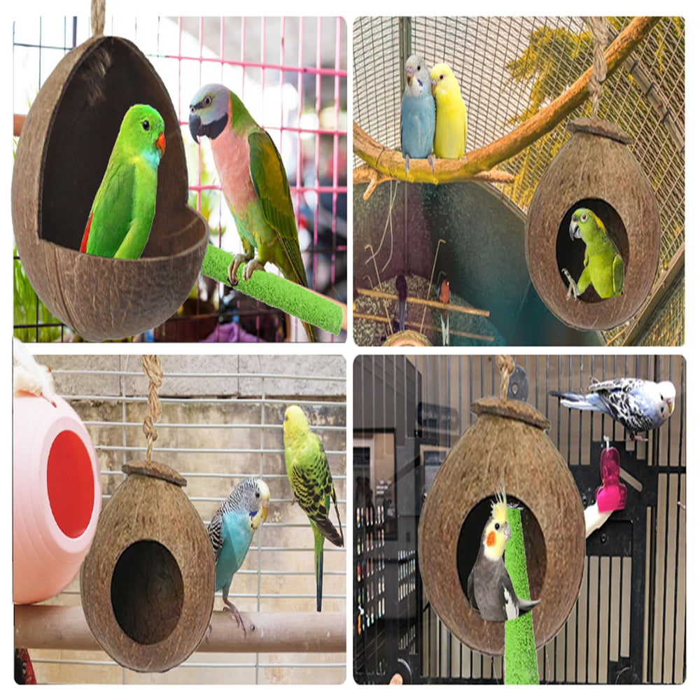 Kathson tamano-nido coco pajaros: adecuado para periquitos, canarios y aves pequeñas