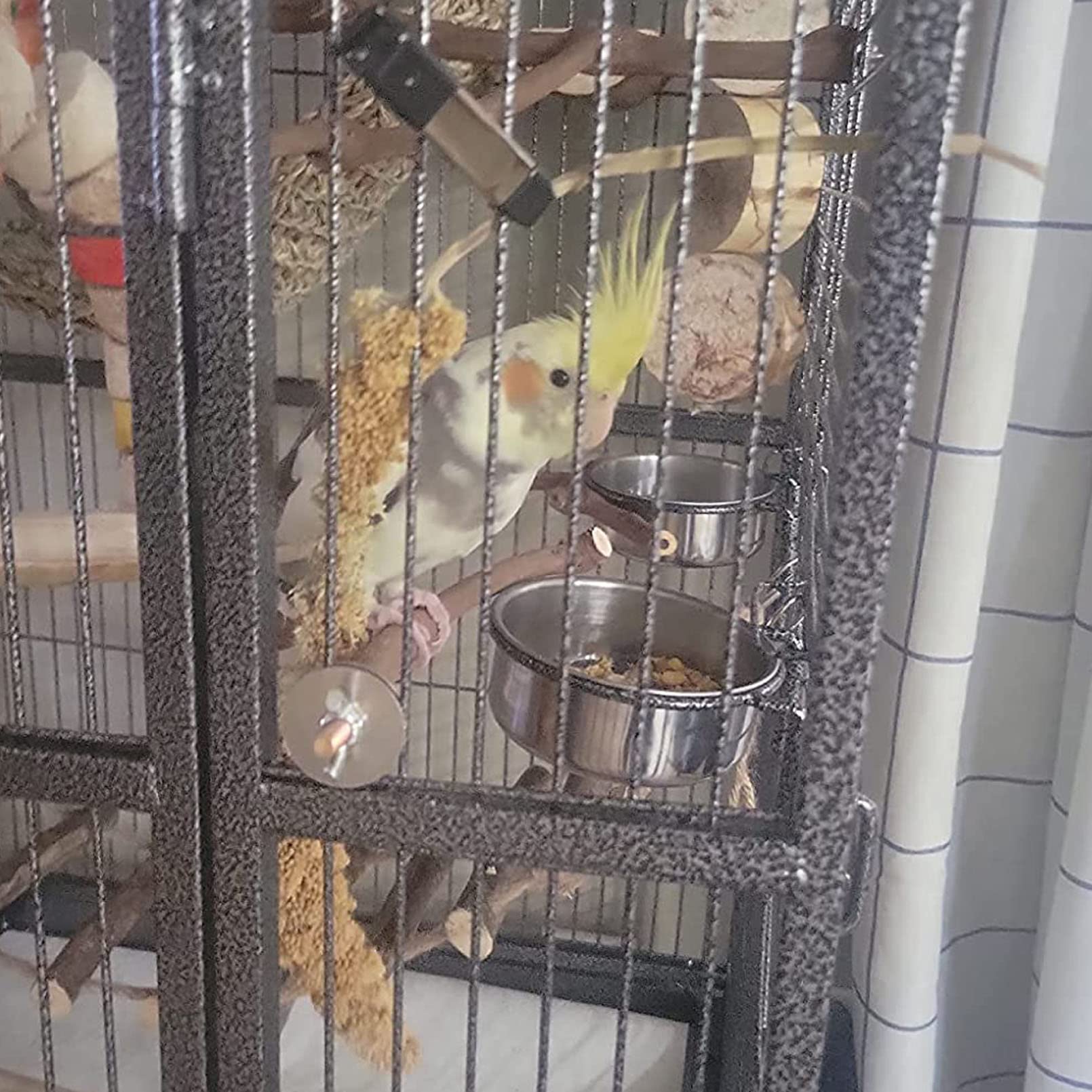 Kathson tazones compatibles con periquitos y aves pequeñas para alimentación segura.