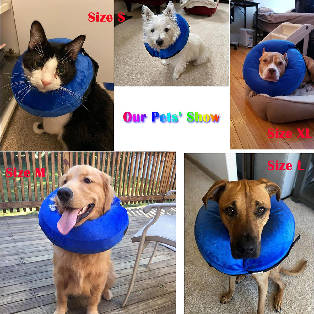 Katoggy collar inflable permite comer, beber y dormir sin restricciones.