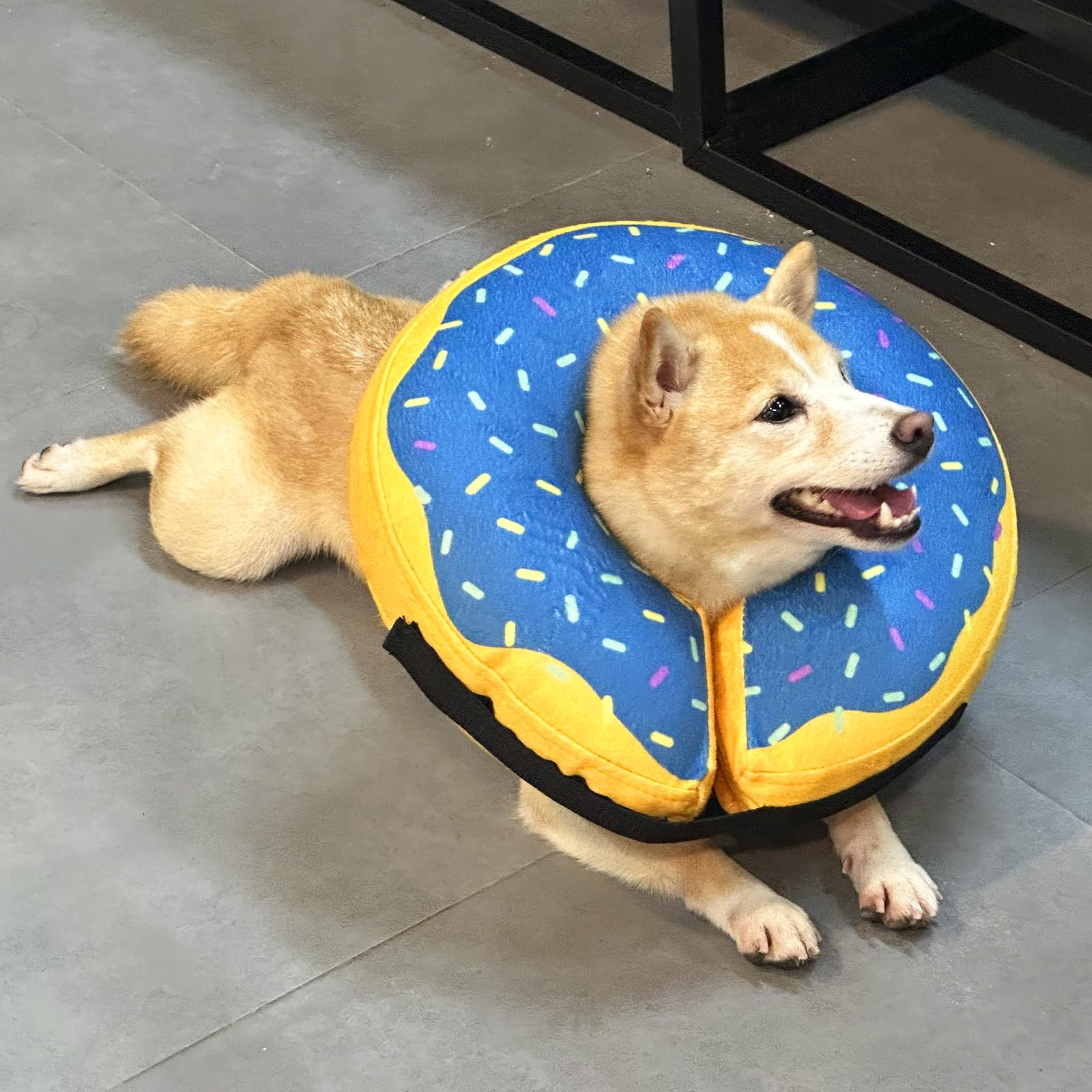 Katoggy cono inflable talla L para cuellos de 15 a 18 pulgadas